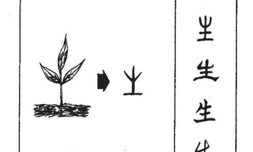 单纯疱疹病毒igm和igg有什么区别-单纯疱疹病毒igm和igg的区别网 - 网站提供单纯疱疹病毒2型igm阳性是什么意思小常识、单纯疱疹病毒igm抗体