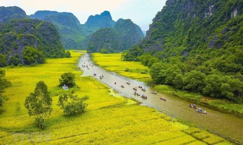 单纯疱疹病毒igm和igg的区别网 - 网站提供单纯疱疹病毒2型igm阳性是什么意思小常识、单纯疱疹病毒igm抗体